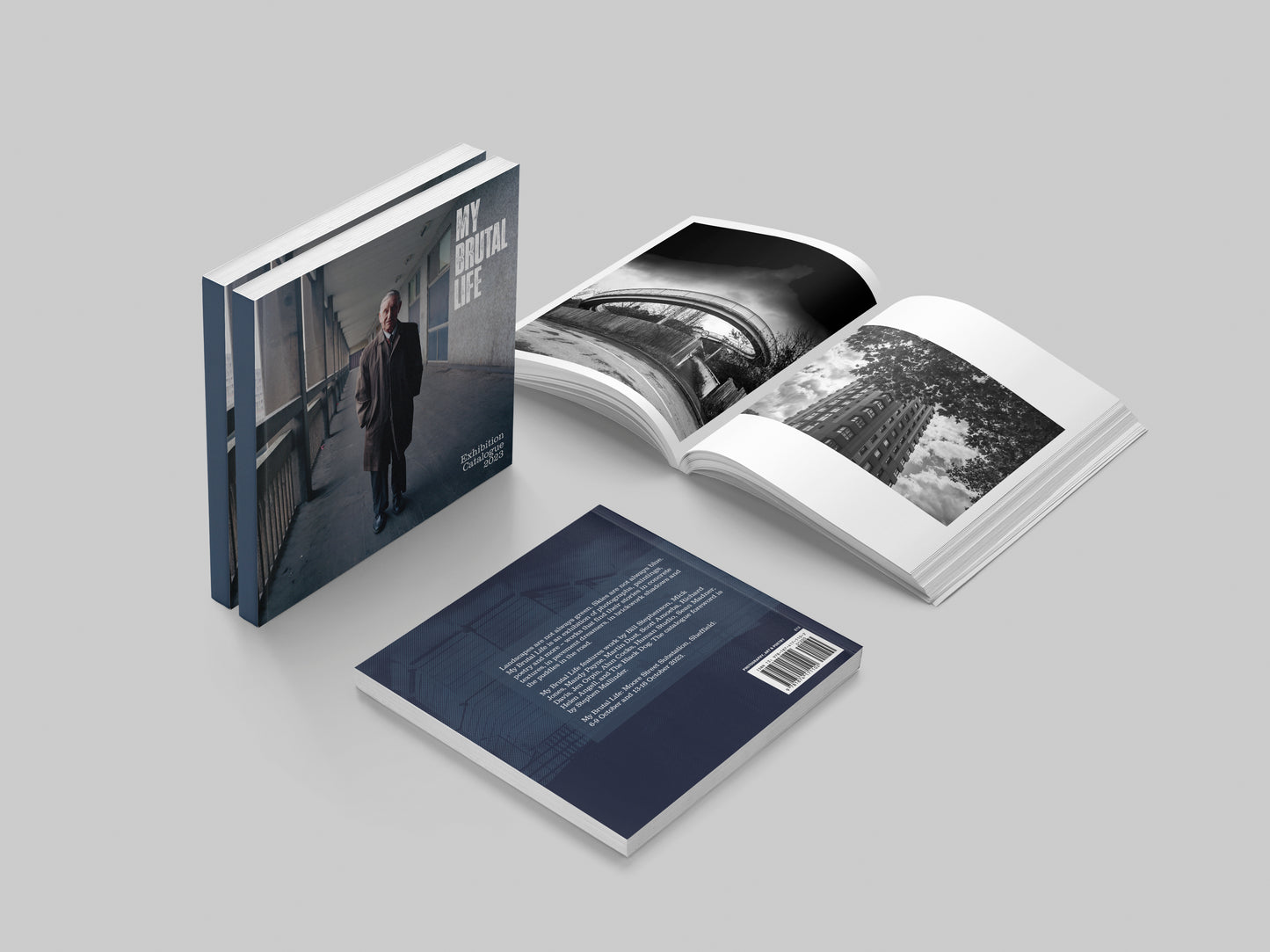 My Brutal Life Exhibition Catalogue (Spread)