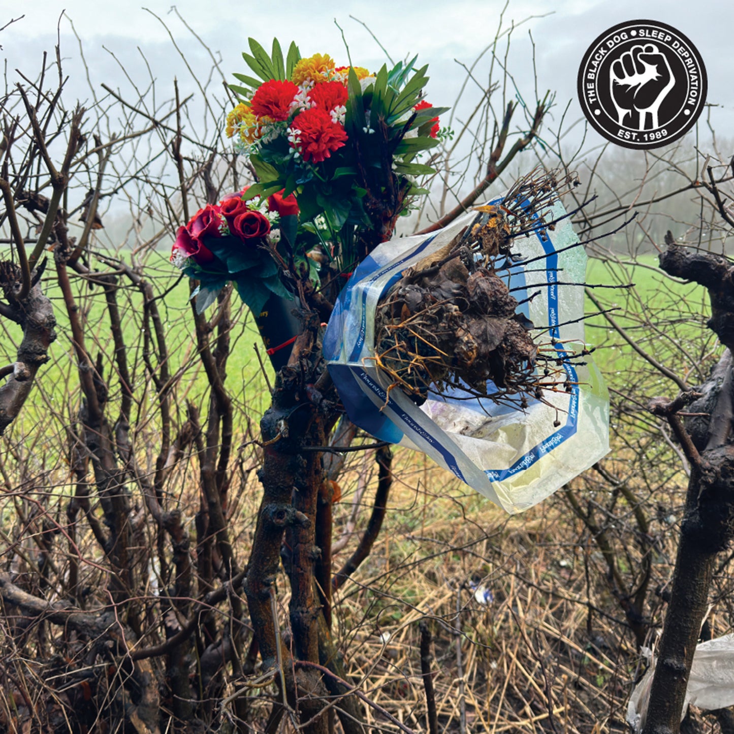 Sleep Deprivation by The Black Dog (Release cover artwork)