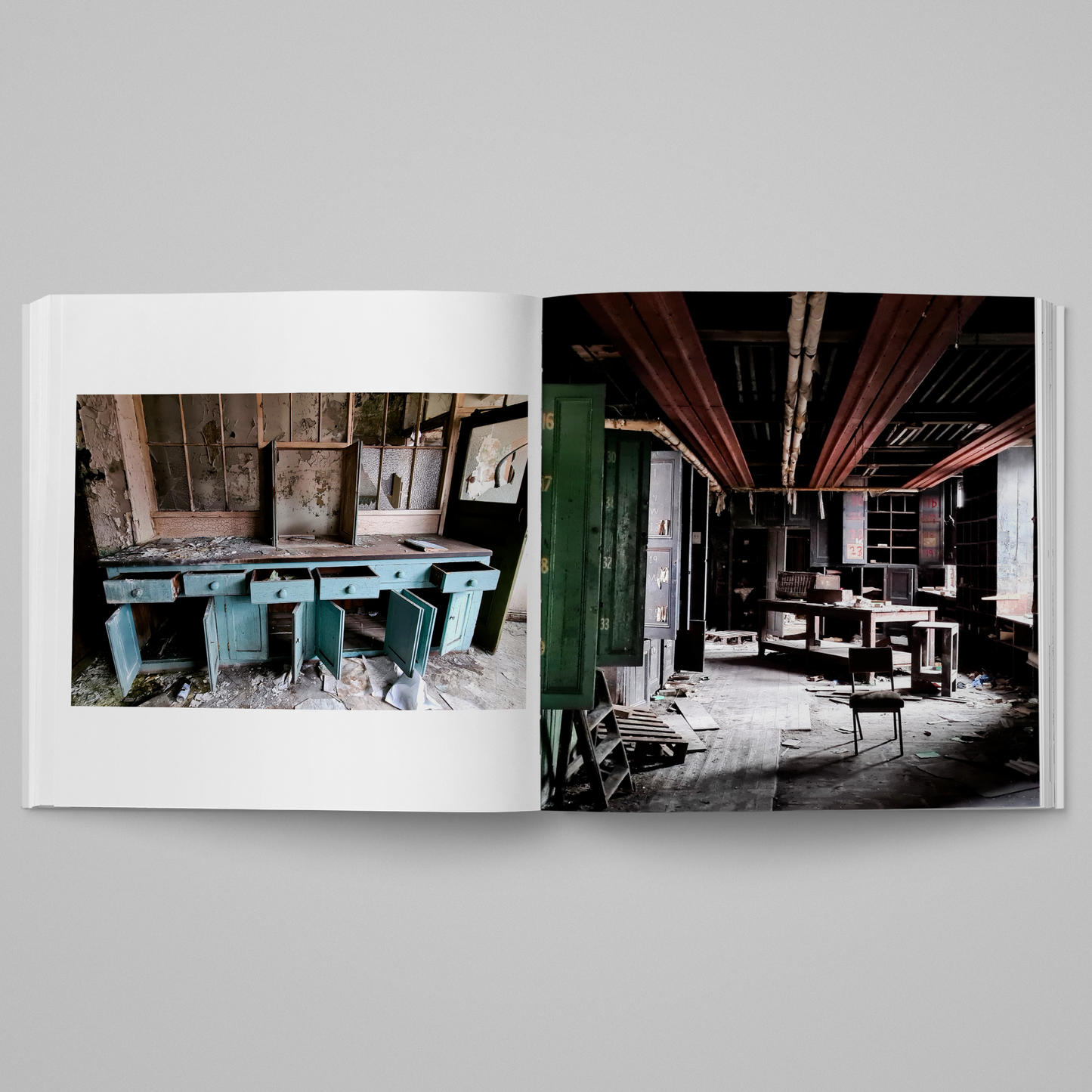 Sheffield In Ruins - Steel City in Decay by Denzil Watson (inside 2)