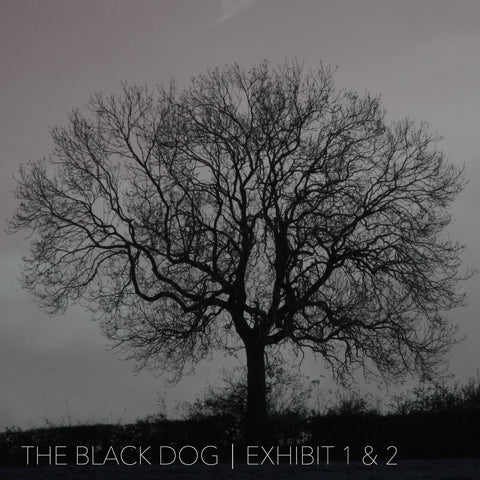 Exhibit 1 & 2 by The Black Dog (Downloads)