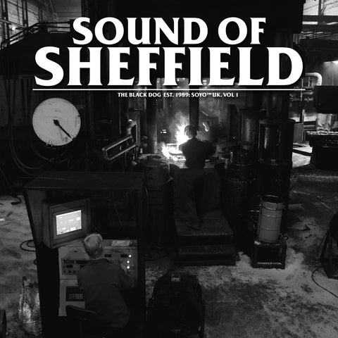 Sound of Sheffield Vol. 01 by The Black Dog (Downloads)