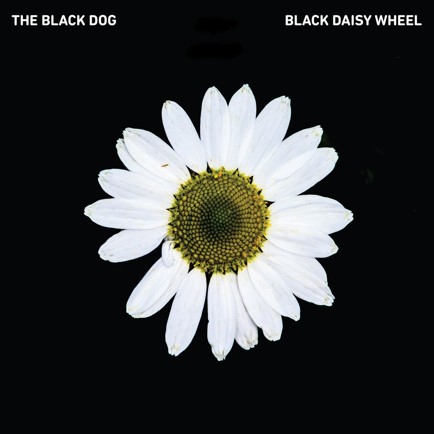 Black Daisy Wheel (Limited Edition Vinyl)