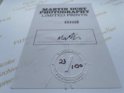 My Brutal Life by The Black Dog, the Deluxe package (Print rear)