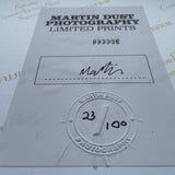 My Brutal Life by The Black Dog, the Deluxe package (Print rear)