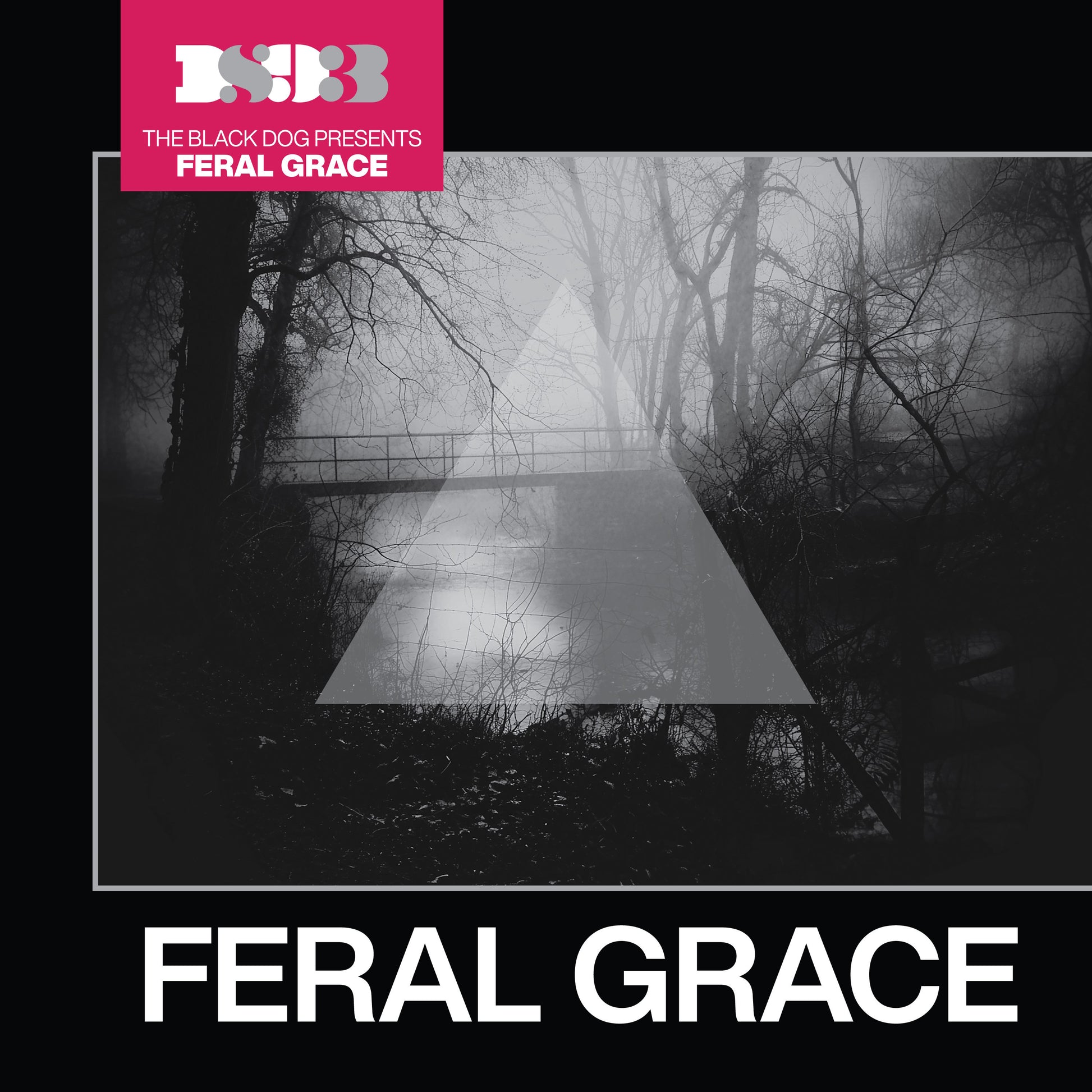 Feral Grace by The Black Dog, release artwork