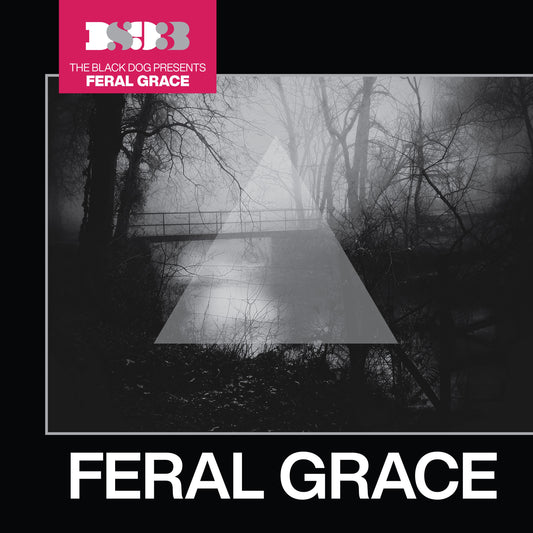 Feral Grace by The Black Dog, release artwork