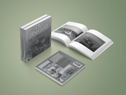 Old Sheffield (Volume 1)