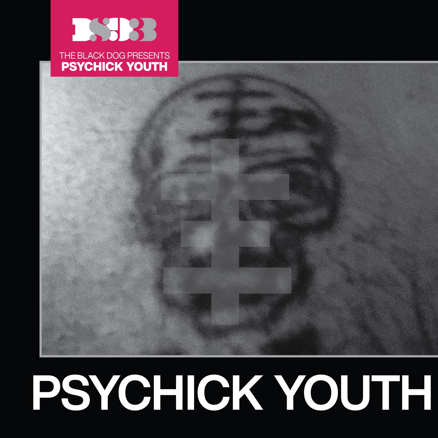Release artwork for Psychick Youth by The Black Dog.