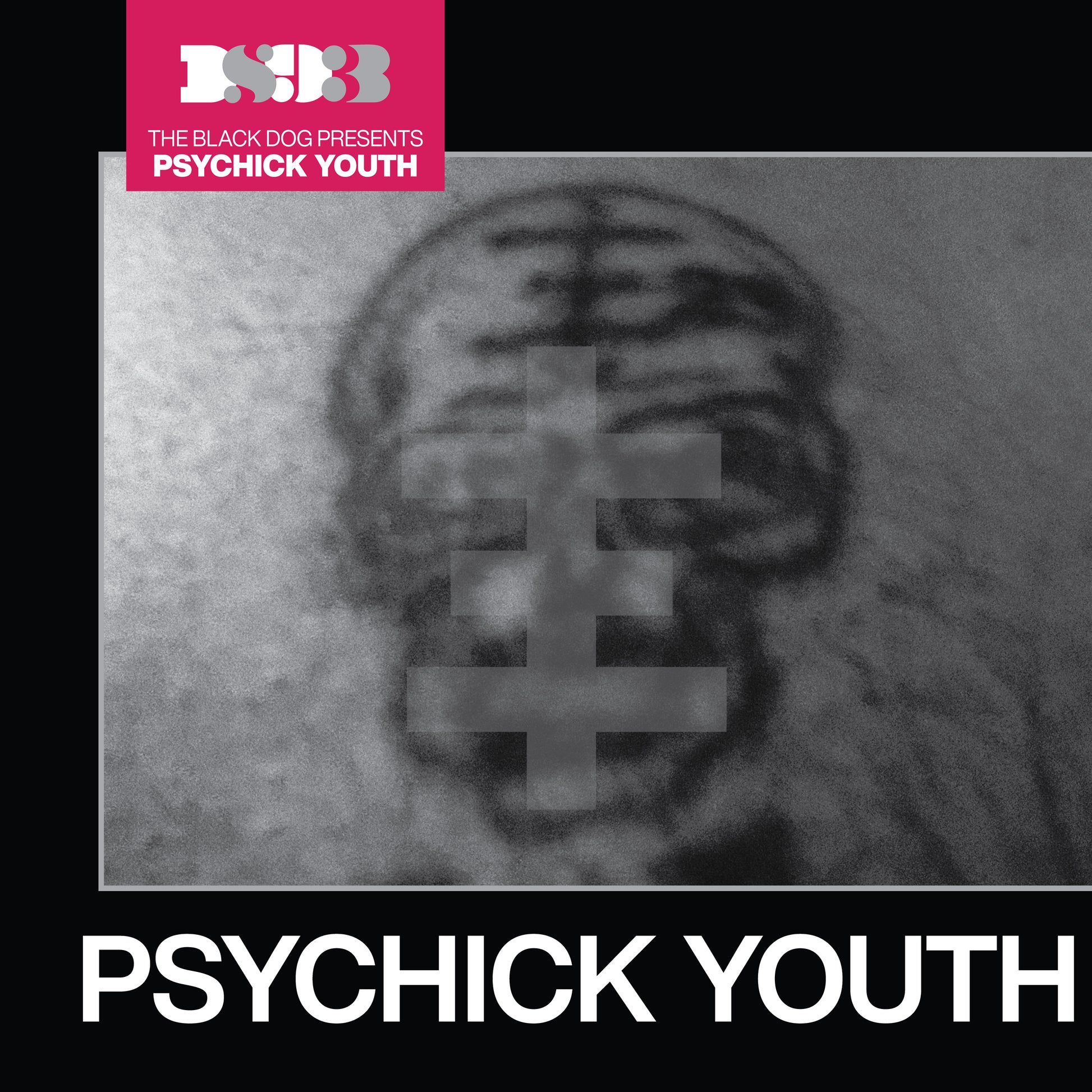 Release artwork for Psychick Youth by The Black Dog.