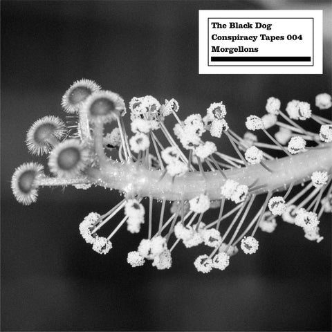 Conspiracy Tapes 004 Morgellons by The Black Dog (Downloads)