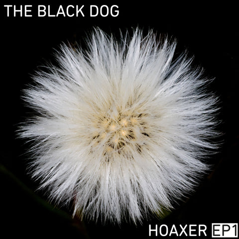 Hoaxer EP1 by The Black Dog (Hi-Res Downloads)