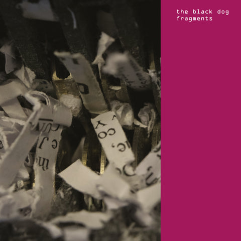 Fragments (CD) by The Black Dog (CD)
