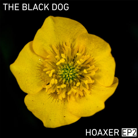 Hoaxer EP2 by The Black Dog (Hi-Res Downloads)
