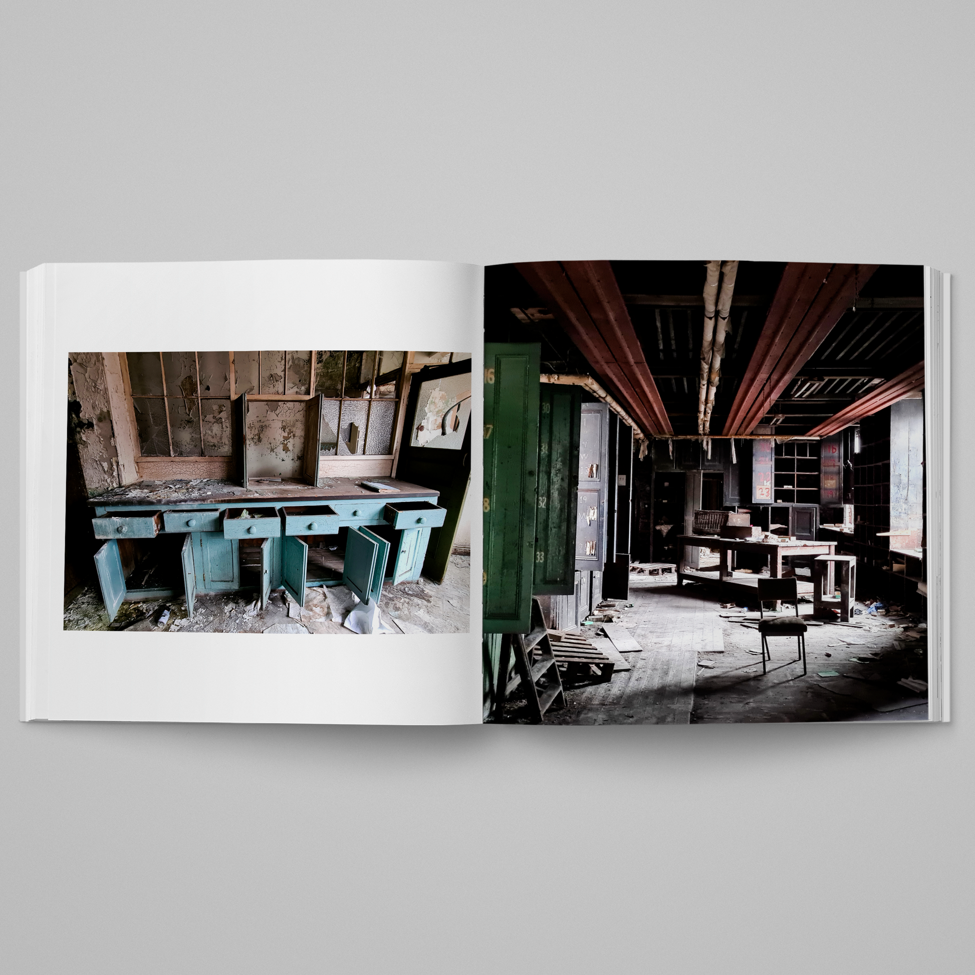 Sheffield In Ruins - Steel City in Decay by Denzil Watson (inside 2)