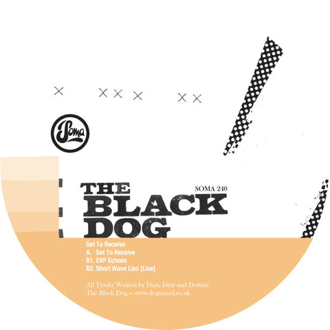 Set To Receive by The Black Dog (Vinyl)